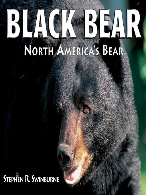 Title details for Black Bear by Stephen R. Swinburne - Wait list